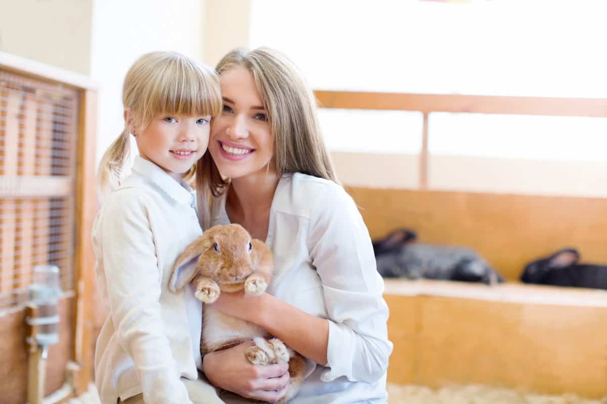 What Is The Best Rabbit For Kids