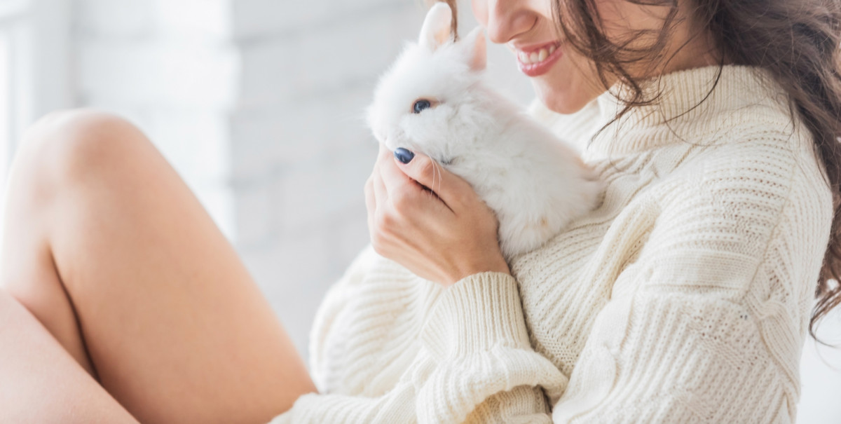 Best Rabbit Breed For Emotional Support